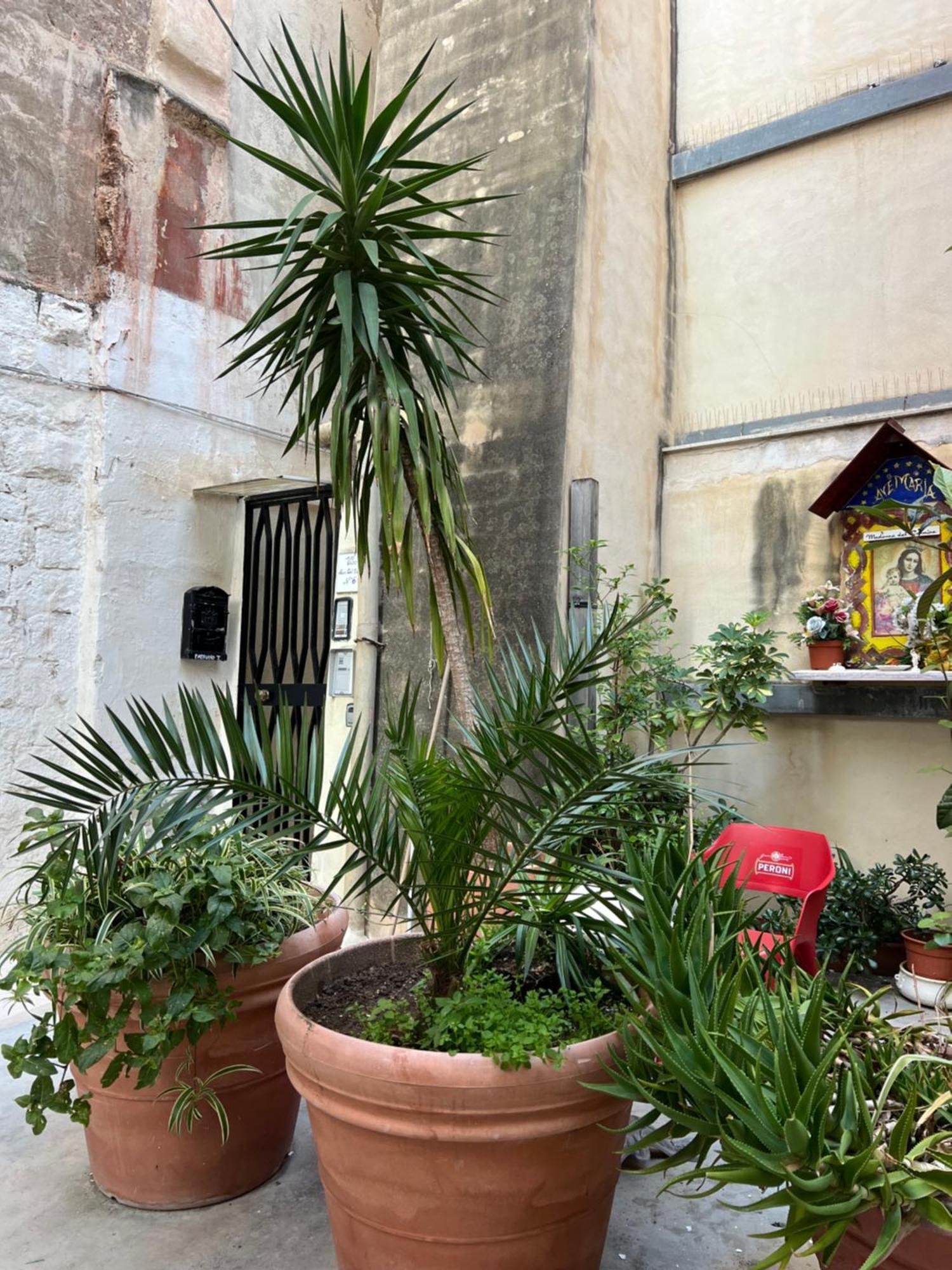 Apartment Corte Del Carmine *